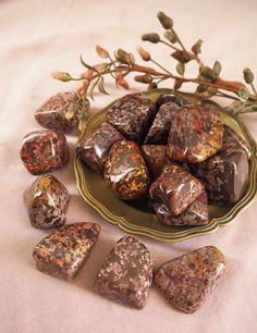 Leopard jasper – Leopard jasper tumbled stone – The stone of protection and growth – Crystals https://etsy.me/3KZMVSX #crystals #tumbledstone #tumblestone #jaspertumblestone #jasper #leopardjasper #leopardskinjaspertumblestone #leopardskinjasper Jasper Crystal Aesthetic, Leopard Skin Jasper Crystal Meaning, Red Jasper Crystal Aesthetic, Brown Jasper, Leopard Jasper, Leopardskin Jasper, Grape Leaves