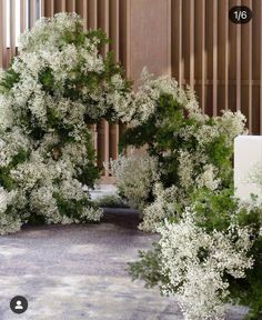 some white flowers and trees in front of a building