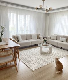 a cat sitting on the floor in front of a living room with white furniture and curtains