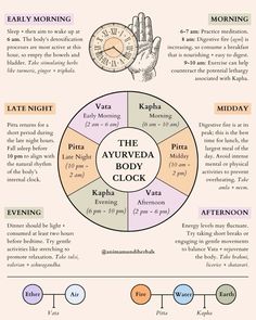 Let's talk about the fascinating concept of the Ayurvedic body clock! ⏰✨According to this ancient system, our bodies move through distinct energetic phases throughout the day, aligning with the rhythms of nature.⁣ 🌅 Kapha: From 6-10 am, it's the tranquil and grounding phase, perfect for awakening with gentle movement, meditation, and nourishing breakfasts to kickstart your day with balance and stability. ☀️ Pitta: From 10 am - 2 pm, the fiery energy rises, ideal for productivity and digestion. It's crucial to have a light, nutritious lunch during this period and stay hydrated to keep that internal fire in check. 🌅 Vata: From 2-6 pm, creativity blossoms, but energy begins to wane. This is the perfect window for creative pursuits, gentle stretches, and herbal teas to soothe and nourish the 6 Phase Meditation, 6 Am Clock, Ayurveda Clock, Ayurvedic Clock, Gentle Stretches, Nutritious Lunch, Gentle Movement, Movement Meditation, Ayurvedic Therapy