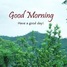 the words good morning have a good day are in front of green trees and hills