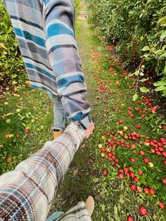 couple fall aesthetic photos apple orchard autumn Fall Date Photos, Couple Poses Apple Orchard, Fall Apple Orchard Aesthetic, Orchard Couple Pictures, Fall Couples Photoshoot Apple Orchard, Aesthetic Fall Couple Pictures, Apple Orchard Instagram Pictures