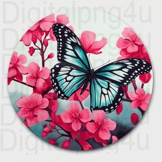 a blue and black butterfly on pink flowers with white background in the center, surrounded by smaller pink flowers