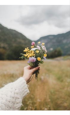 a person holding flowers in their hand on a field with mountains in the background and cloudy sky