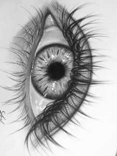 a drawing of an eye with very long lashes on it's side and the iris partially closed