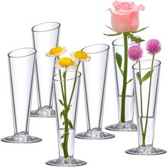 four clear vases with flowers in them on a white background and one pink rose