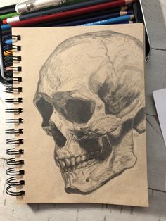 a pencil drawing of a skull on a piece of paper