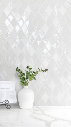 a plant in a white vase next to an open book on a marble countertop