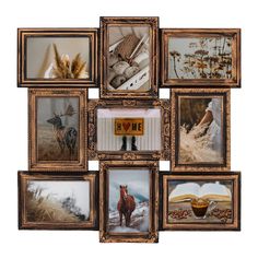 a collage of framed pictures with animals in them