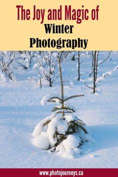 winter photography Canada Photography Fundamentals, Tips For Winter, Snow Photography, Landscape Photography Tips, Photography Help, Travel Photography Tips, Photography Basics, Photography 101, Photography Lessons