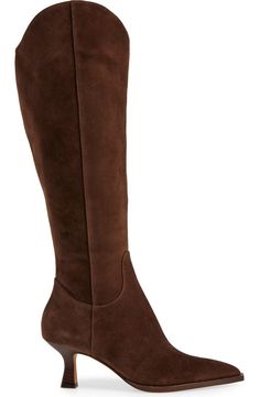 Dolce Vita Annika Pointed Toe Boot (Women) | Nordstrom Brown Boots Low Heel, Night Out Outfit Boots, Night Fits, High Heel Loafers, Pointy Boots, Fall Shoe, True Spring, Brown Knee High Boots, Thigh Boots