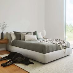 a large black dog laying on top of a white bed in a bedroom next to a window