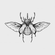 Insect Tattoo Design, Insects Drawing, Scarab Beetle Tattoo, Insect Drawing, Beetle Drawing, Tattoo Animals, Beetle Design, Beetle Illustration