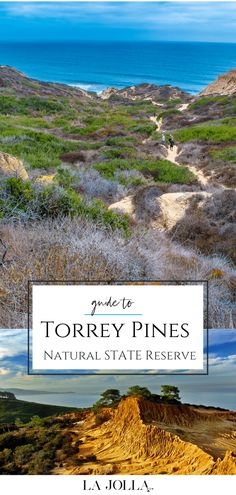 the cover of a book titled, guide to torrey pines natural state reserve