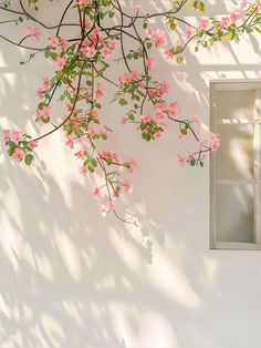 pink flowers growing on the side of a white wall next to a window with open shutters