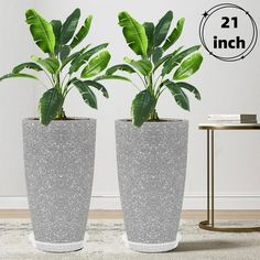 two potted plants sitting next to each other on top of a carpeted floor