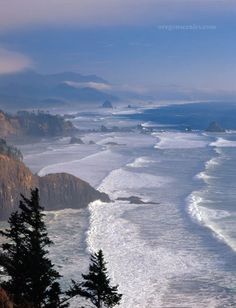 an ocean view from the top of a hill with pine trees on it and mountains in the background