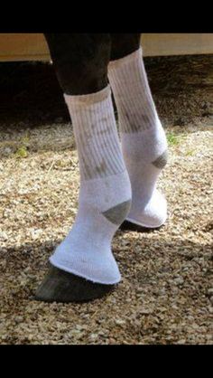 the legs and ankles of a horse wearing socks