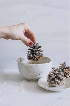 10 Natural Ways to Make Your Home Smell Like Christmas Pinecone Firestarters, Home Smell Like Christmas, Homemade Fire Starters, Pinecone Fire Starters, Diy Essential Oil Diffuser, Fire Starters Diy, Pinecone Crafts, Hello Glow