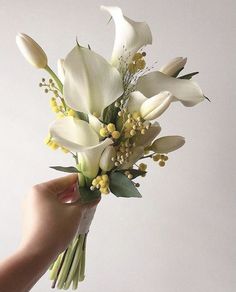 a hand holding a bouquet of white flowers