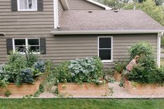 an outdoor garden area with various vegetables and plants in wooden planters on the side of a house