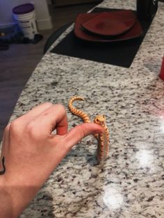 a hand is holding an object in the middle of a kitchen counter