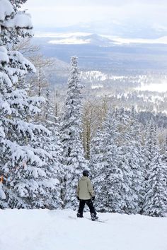 a person on skis standing in the snow with trees behind them and mountains in the distance