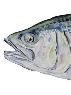 a watercolor painting of a fish on a white background