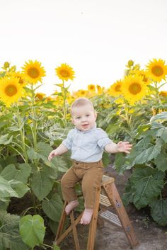 a little boy sitting on top of a wooden chair in a field of sunflowers