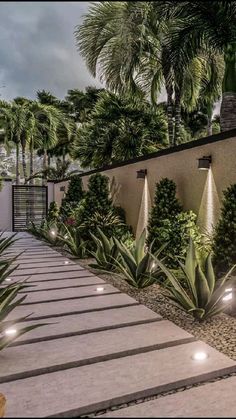 an outdoor garden with plants and lights on the side of the wall, surrounded by palm trees