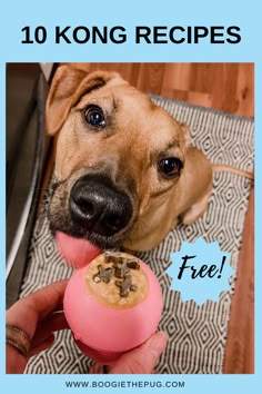 a brown dog holding a pink treat in it's mouth