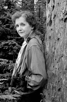 Rachel Carson: pioniera della difesa dell'ambiente • Terzo Pianeta