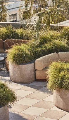 some plants are growing in large planters on the ground near a table and chairs