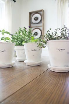 three white planters with plants in them sitting on a table