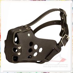 Looking for stylish dog muzzles for training and safety? Check out our top 10 picks for the best dog muzzles that are both functional and fashionable. Keep your furry friend safe and comfortable during walks and training sessions with these high-quality options. Perfect for all breeds and sizes, these dog muzzles are a must-have for responsible pet owners. Dog Armor, Pure Breed Dogs, Military Dogs, Aggressive Dog, Police Dogs, Dog Vest, Military Police