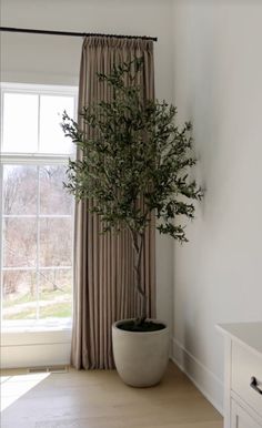 a potted plant sitting next to a window in a room with wooden flooring