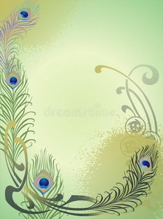 peacock feathers on a green background with space for text