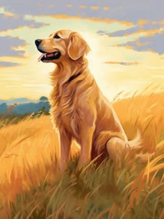 Golden Retriever - Painting by numbers shop Golden Retriever Images, White Golden Retriever Painting, Golden Retriever Illustration Cartoon, Golden Retriever Painting Acrylics, Painting Golden Retriever, Dog Acrylic Painting, Golden Retriever Sitting, Golden Field