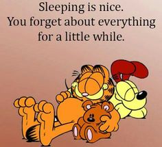 winnie the pooh and tigger laying down together with text reading sleeping is nice you forget about everything for a little while