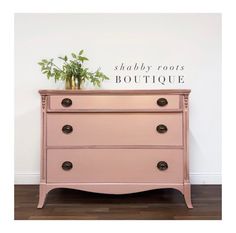 an old dresser painted pink with baby roots boutique lettering on the wall behind it and a potted plant sitting on top