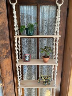 a shelf with some plants on top of it