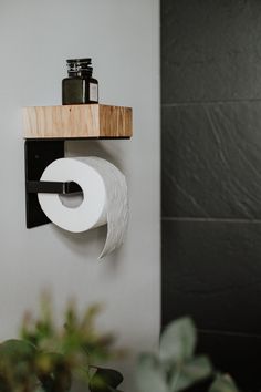 a toilet paper dispenser mounted to the side of a wall next to a potted plant