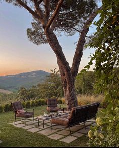 an outdoor seating area with chairs and a tree in the foreground, overlooking rolling hills