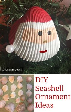 an ornament made out of seashells on a christmas tree with the words diy seashell ornament ideas