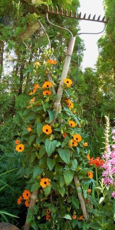 a garden with flowers growing on the side of it and a trellis in the middle