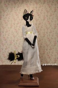 a black and white cat dressed up as a woman