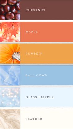 This Cinderella pumpkin-themed color palette blends warm, earthy tones of chestnut brown, maple, and pumpkin with the enchanting elegance of blue ball gown and pale blue glass slipper. The cream feather adds a soft, delicate touch, perfect for creating designs that evoke a fairytale atmosphere with a rustic twist. Ideal for art, wedding themes, or any creative project inspired by the magic of Cinderella and the beauty of autumn. Wedding Blue Orange, November Colour Palette, Unusual Color Palettes, Light Blue Color Palette Colour Schemes, Colour Palette Winter, Cinderella Color Palette, Light Blue Pallete, Pumpkin Color Palette, Blue Autumn Color Palette