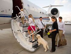 a group of people getting off an airplane with a dog on the steps next to them