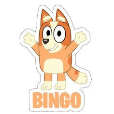 an orange and white cat with the word bingo on it's chest, in front of