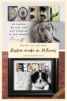 Sympathy for loss of pet Pet Sympathy Gifts, Pet Sympathy, Pet Loss Gifts, Pet Memorial Gifts, Gift Quotes, Aunt Gifts, Gifts For Brother